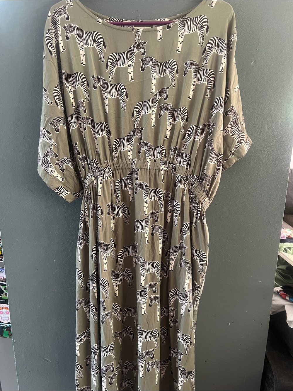 World market zebra dress